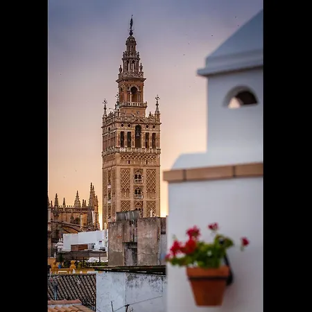 Hotel Murillo-3