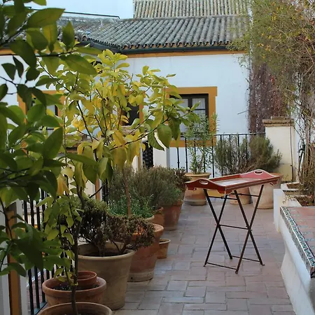 Casa Imperial-3